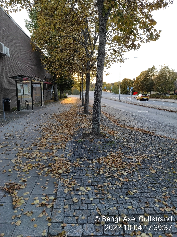 Höst i Hallsta
