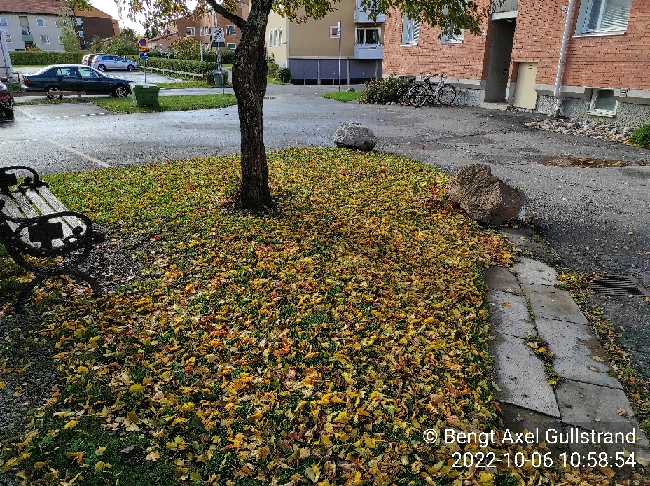 Höst i Hallsta