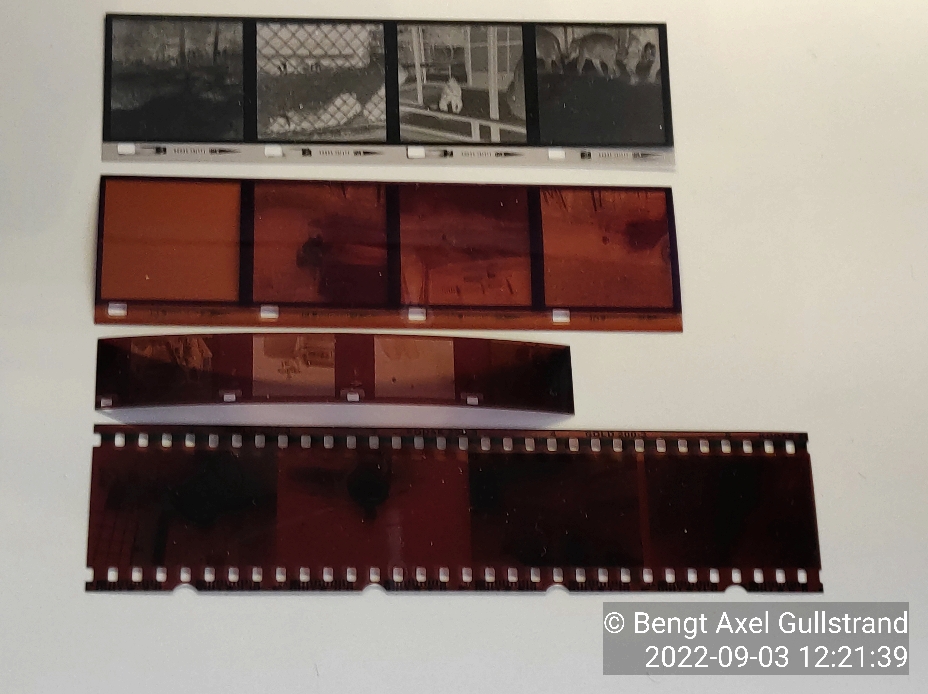 126-, 110- och 35mm-film